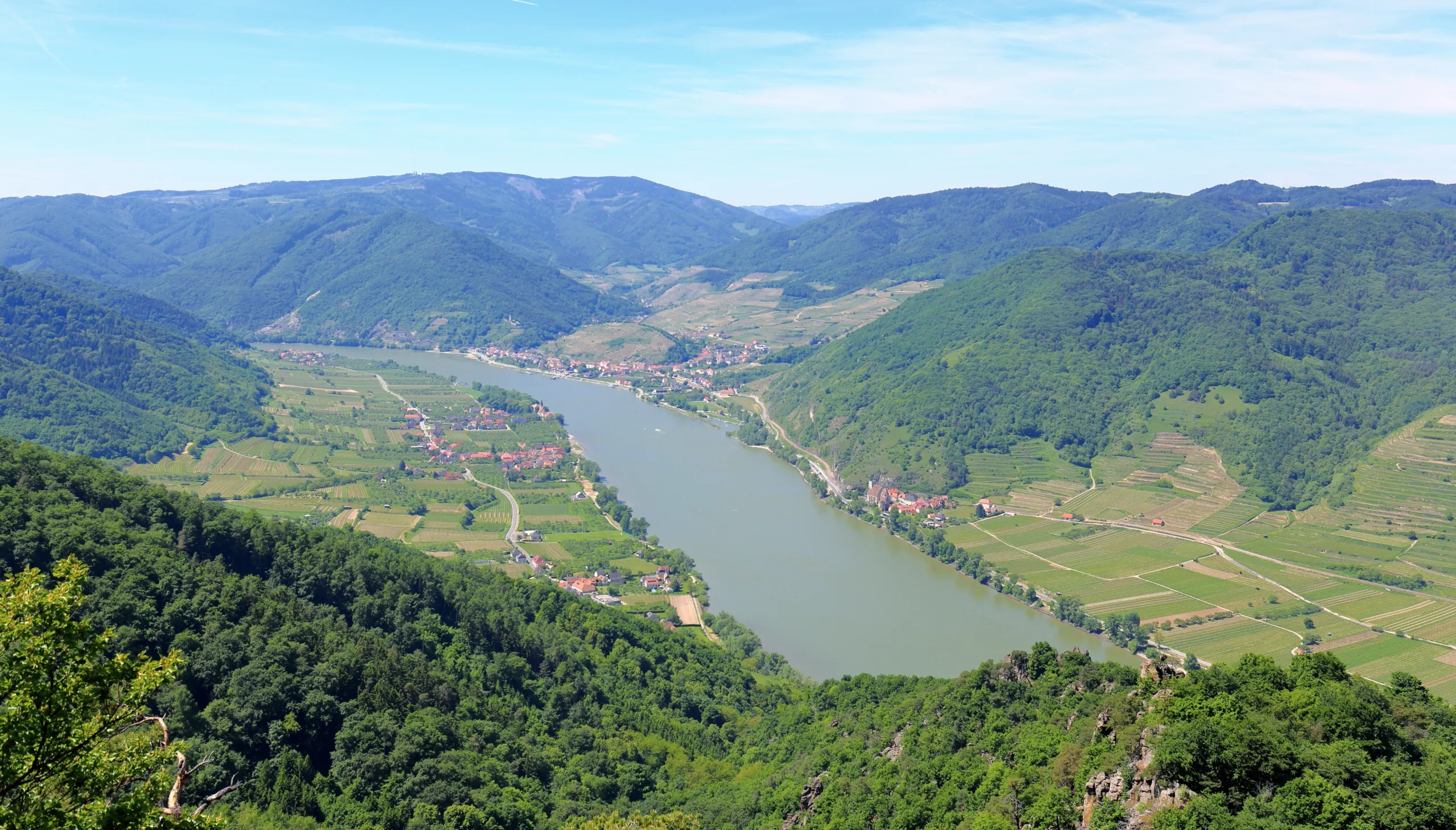 Wachau bei Spitz an der Donau